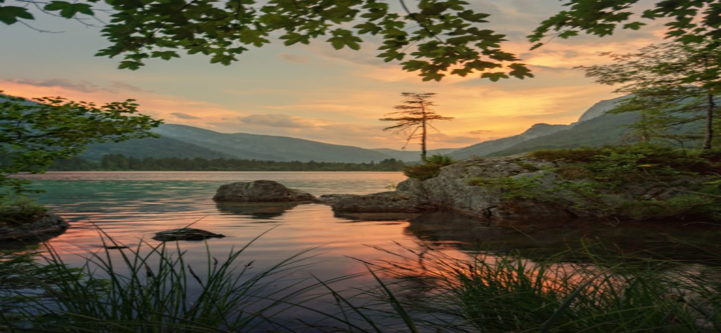 Die “Via Activa“: Ein Weg zur mentalen Gesundheit nach Erich Fromm