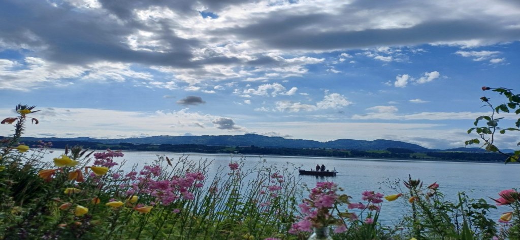 Wenn Worte krank machen – über ungesunde und toxische Kommunikation!