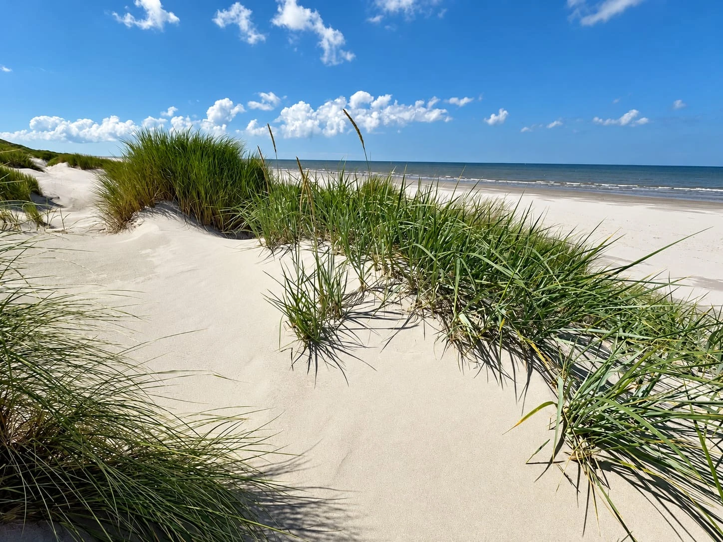 Sanddünen mit Strandhafer, hellem Strand und Meer unter blauem Himmel.