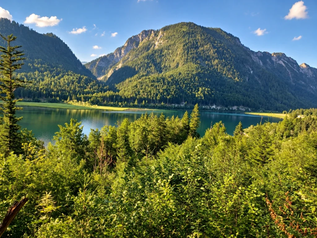 Bewaldete Berge und ein See unter blauem Himmel.