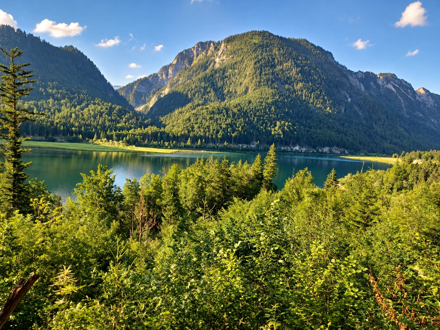 Bewaldete Berge und ein See unter blauem Himmel.